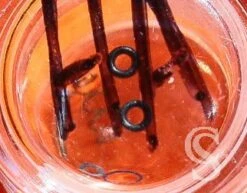 Baume & Mercier Horlogerie Luxe Fourniture Pièces Accessoires Joints, Ressort, Vis Montres Ref MX001FWX 1030 -Aiguilles et Pièces Soldes baume mercier horlogerie luxe fourniture pieces accessoires joints ressort vis montres ref mx001fwx 1030 2