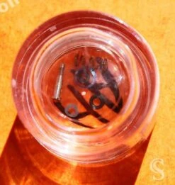 Baume & Mercier Horlogerie Luxe Fourniture Pièces Accessoires Joints, Ressort, Vis Montres Ref MX001FWX 1030 -Aiguilles et Pièces Soldes baume mercier horlogerie luxe fourniture pieces accessoires joints ressort vis montres ref mx001fwx 1030 4