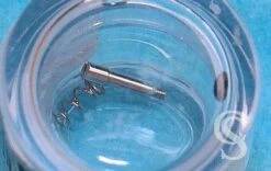 Baume & Mercier Horlogerie Luxe Fourniture Pièces Accessoires Joints, Ressort, Vis Montres Ref MX0036D4 1060 -Aiguilles et Pièces Soldes baume mercier horlogerie luxe fourniture pieces accessoires joints ressort vis montres ref mx0036d4 1060 2