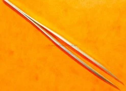 Brucelles Pointes Fortes, Plates Laiton A. Dumont & Fils Instrument, Outil Pour Horloger Aiguilles Ref 1AM Fabriqué En Suisse 17 Brucelles Pointes Fortes, Plates Laiton A. Dumont & Fils Instrument, Outil Pour Horloger Aiguilles Ref 1AM Fabriqué En Suisse -Aiguilles et Pièces Soldes brucelles pointes fortes plates laiton a dumont fils instrument outil pour horloger aiguilles ref 1am fabrique en suisse 4