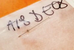 Tudor Aiguille Centrale Chronographe Ref V15-9422 Tudor Oysterdate Chronograph Prince Date Ref 79160,79280,79270,79260 -Aiguilles et Pièces Soldes tudor aiguille centrale chronographe ref v15 9422 tudor oysterdate chronograph prince date ref 79160792807927079260 3